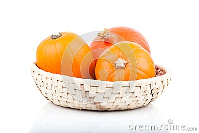 Yellow pumpkins Stock Photo