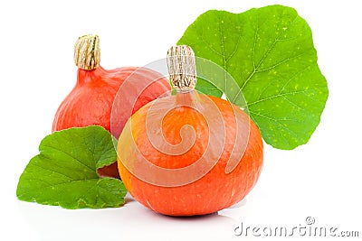 Yellow pumpkins vegetables with green leaves Stock Photo