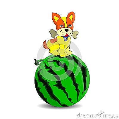 Yellow puppy on top of watermelon, cartoon on white background. Vector Illustration