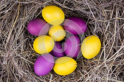 Yellow and purple eggs in a nest top view. Concept easter Stock Photo