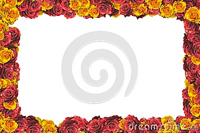 Yellow and Red Flowers Full Border Frame Stock Photo