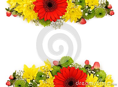 Yellow, red and green flowers arrangements Stock Photo