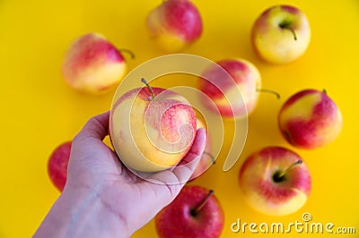 Yellow-red juicy fresh apples lie on a yellow background. Fresh fruit from the garden. Hold an apple in your hand. Diet Stock Photo