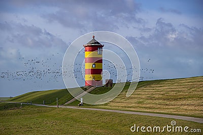 The yellow and red lighthouse of Pilsum with birds passing by Stock Photo