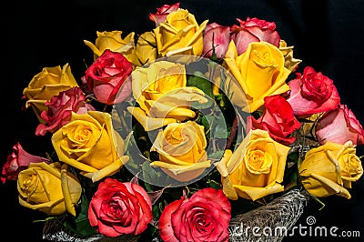 Yellow red rose bouquet Stock Photo