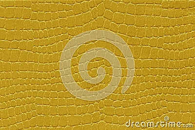 Yellow reptile skin. crocodile leather texture Stock Photo