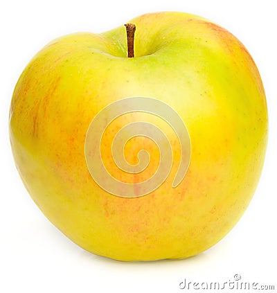 Yellow ripe apple Stock Photo