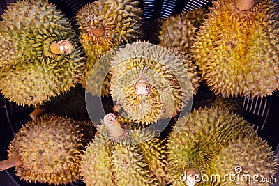 Yellow ripe durian with sharp thorn type of tropical fresh fruit Stock Photo