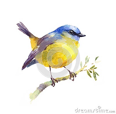 Yellow Robin Watercolor Bird Illustration Hand Drawn Cartoon Illustration