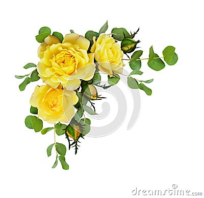 Yellow rose flowers with eucalyptus leaves Stock Photo