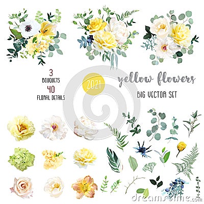 Yellow rose, hydrangea, white peony, lily, anemone, spring garden flowers Vector Illustration