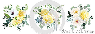 Yellow rose, hydrangea, white peony, tulip, anemone, spring garden flowers Vector Illustration