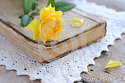 Yellow rose laying upon vintage book on lace doily Stock Photo