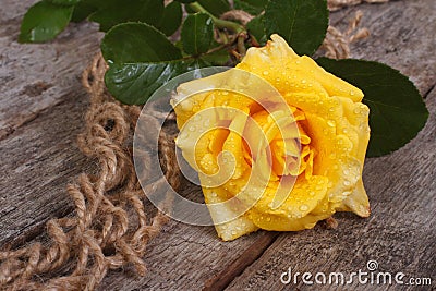 Yellow rose on an old rough wooden table Stock Photo