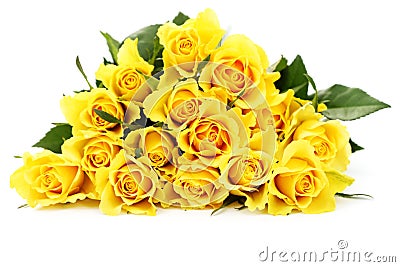 Yellow roses Stock Photo