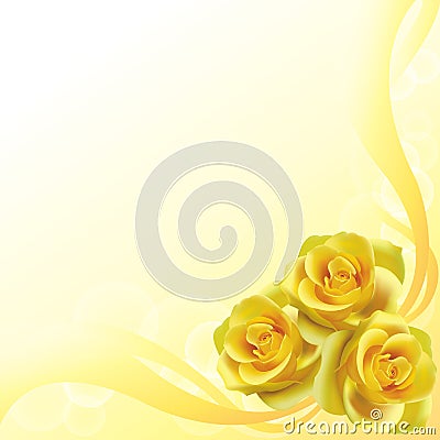 Yellow roses background Stock Photo