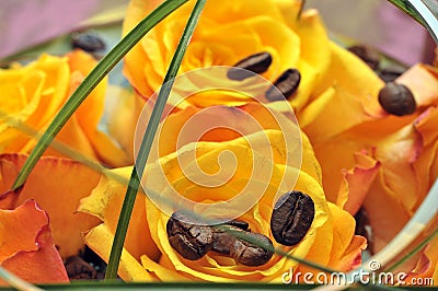 Yellow roses with coffee beans Stock Photo