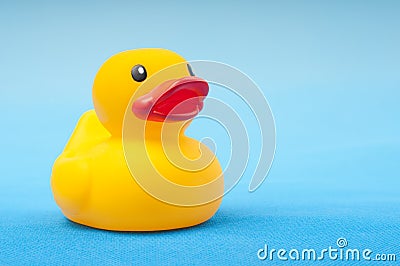 Yellow rubber duck on blue background water Stock Photo