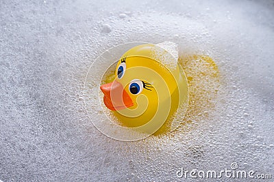 Yellow rubber duck floating in soap suds Stock Photo