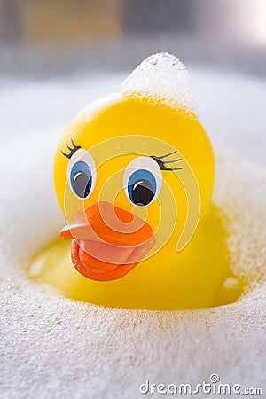 Yellow rubber duck floating in soap suds Stock Photo