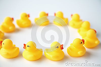 Yellow rubber duckies Stock Photo