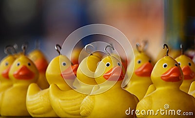 Fairground ducks Stock Photo