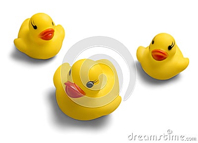 Yellow rubber ducks on White Background Stock Photo