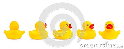 Yellow rubber toy ducks in different views isolated Stock Photo