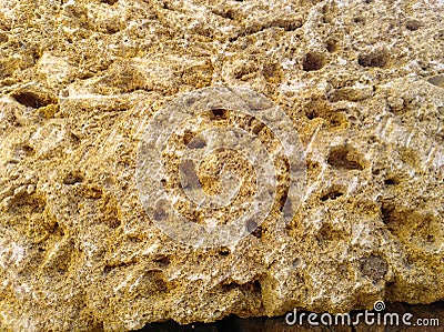 Yellow sand stone with holes Stock Photo