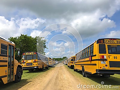 Yellow School Busses Editorial Stock Photo