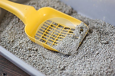 Yellow scoop on pets litter box filled by litter. Stock Photo