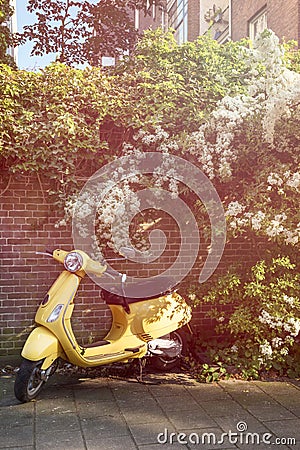 Yellow scooter parked Editorial Stock Photo