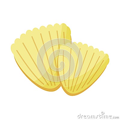 Yellow seashells on white background. Vector Illustration