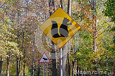 Yellow sign with a picture of squirrel with nut and warning sign `Caution, moose` Stock Photo