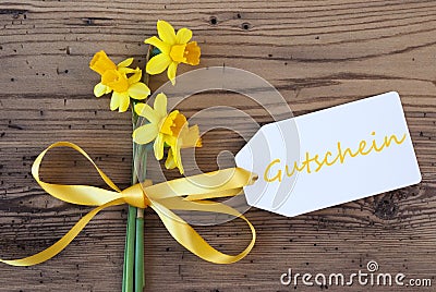 Yellow Spring Narcissus, Label, Gutschein Means Voucher Stock Photo