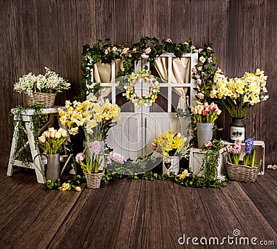 Yellow spring sett up with colourful flowers yellow and dark wood Stock Photo