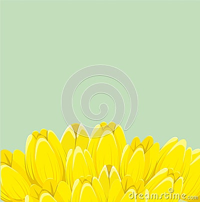 Yellow spring tulips Stock Photo