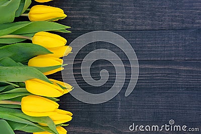 Yellow tulips on the dark wooden background with copy space Stock Photo