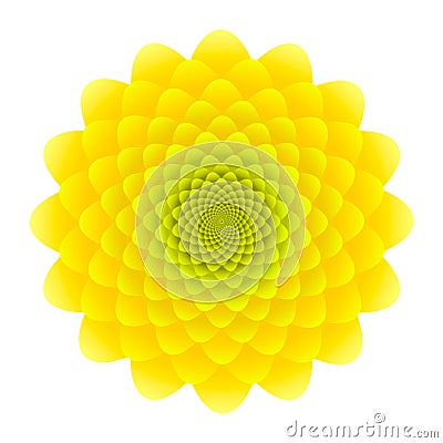 Yellow Sunflower inflorescence. Abstract floral pattern isolated on white background Stock Photo