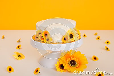 Yellow Sunflower Themed Cake Smash Stock Photo