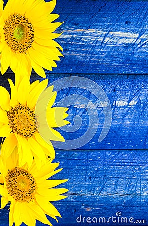 Yellow sunflowers painted fence Stock Photo