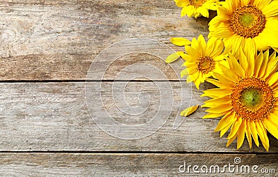 Yellow sunflowers on wooden background, Stock Photo