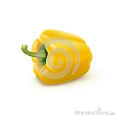 Yellow Sweet Bulgarian Bell Pepper, Paprika Vector Illustration