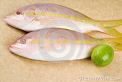 Yellow Tail Snappers and a Lime Stock Photo
