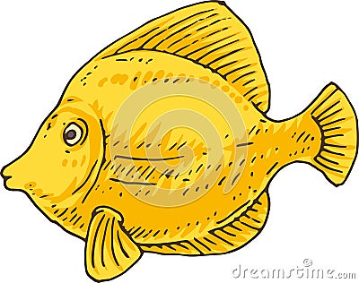 Yellow Tang. Zebrasoma Fish Vector Illustration