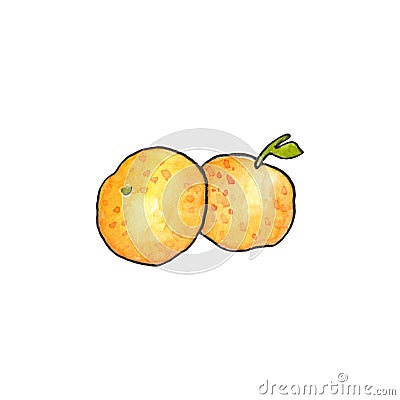 Yellow tangerines watercolor illustration on white background. Traditional winter season fruit. Cartoon Illustration