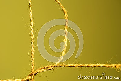 Yellow tangled rope Stock Photo