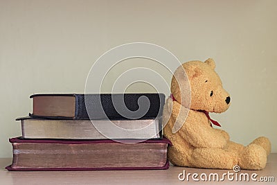 A yellow teddy bear with books Stock Photo