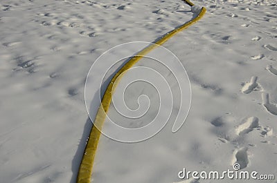 Yellow textile fire hose. it is used by ski owners to connect water to snow cannons and turbines with nozzles for the production o Stock Photo