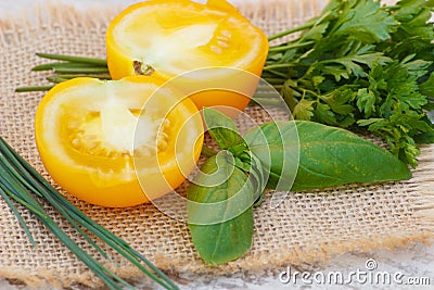Yellow tomato with green parsley and basil on jute canvas in garden on sunny day Stock Photo